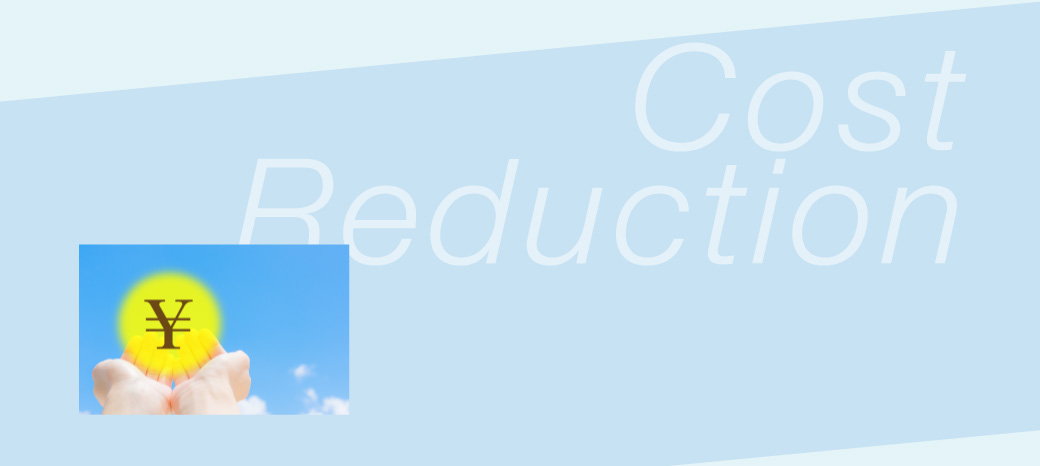 Cost Reduction